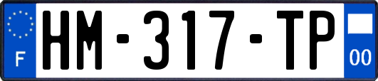 HM-317-TP