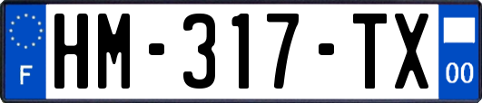 HM-317-TX