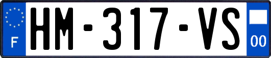 HM-317-VS