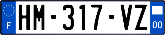 HM-317-VZ