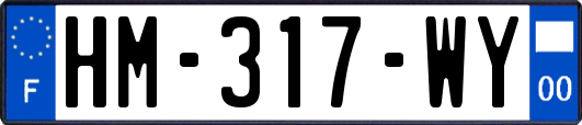 HM-317-WY