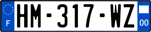 HM-317-WZ