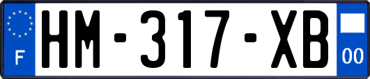 HM-317-XB