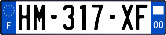 HM-317-XF