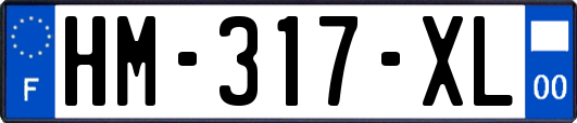 HM-317-XL