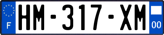 HM-317-XM