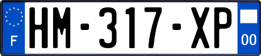 HM-317-XP