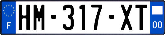 HM-317-XT