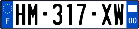 HM-317-XW