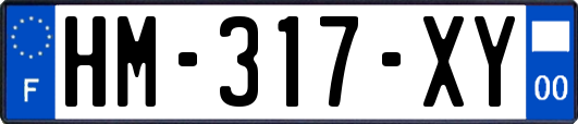 HM-317-XY