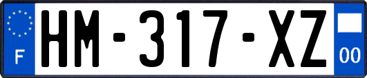HM-317-XZ