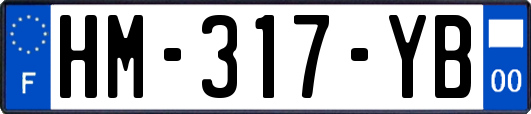 HM-317-YB