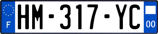 HM-317-YC