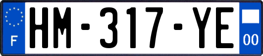 HM-317-YE