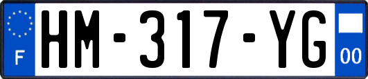 HM-317-YG