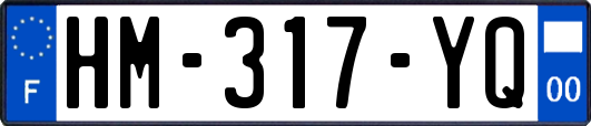 HM-317-YQ