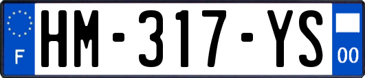 HM-317-YS