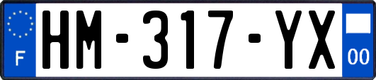 HM-317-YX