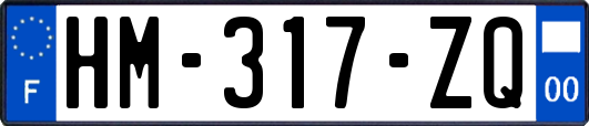 HM-317-ZQ