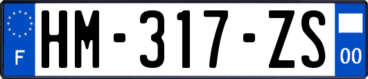 HM-317-ZS