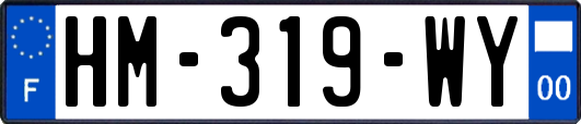 HM-319-WY