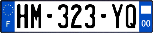 HM-323-YQ