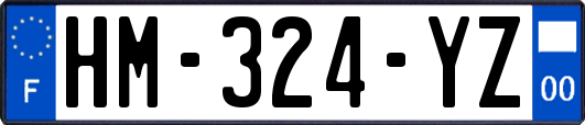 HM-324-YZ