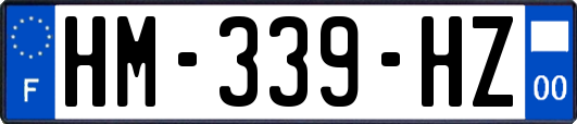 HM-339-HZ