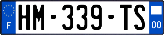 HM-339-TS