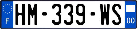 HM-339-WS