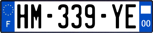 HM-339-YE