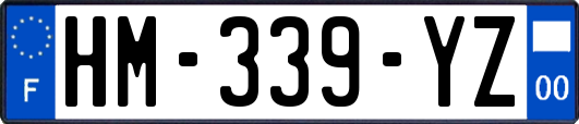 HM-339-YZ