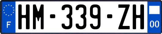 HM-339-ZH