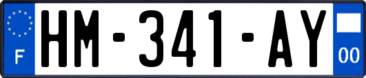 HM-341-AY