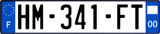 HM-341-FT