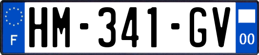HM-341-GV