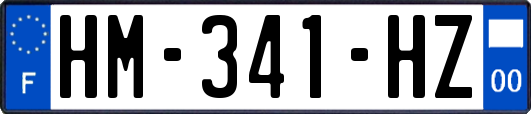 HM-341-HZ