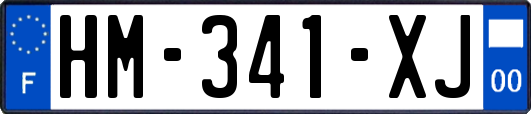 HM-341-XJ