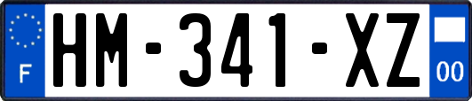 HM-341-XZ