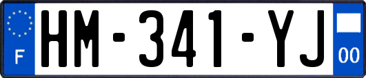HM-341-YJ