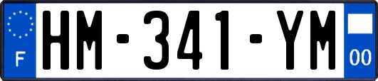 HM-341-YM