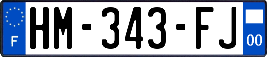 HM-343-FJ