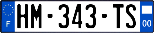 HM-343-TS