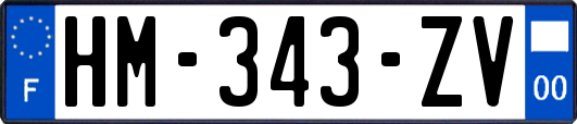 HM-343-ZV