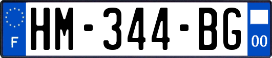 HM-344-BG