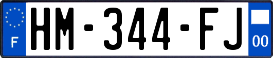 HM-344-FJ