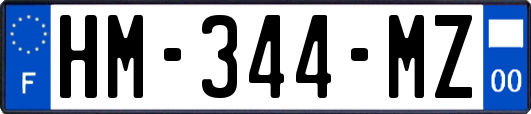 HM-344-MZ