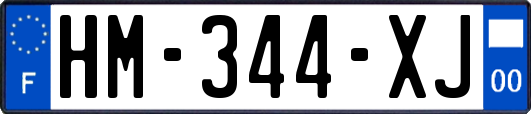 HM-344-XJ