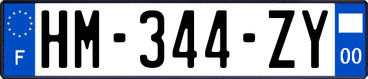 HM-344-ZY