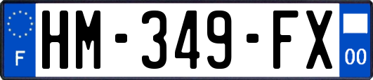 HM-349-FX